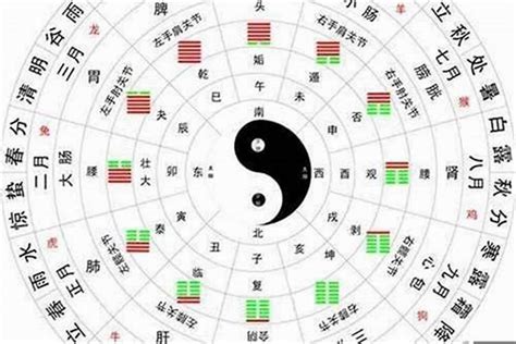 五行太多金|【金太多】5分鐘秒懂！五行金太多原來是這樣！揭秘金旺運勢好。